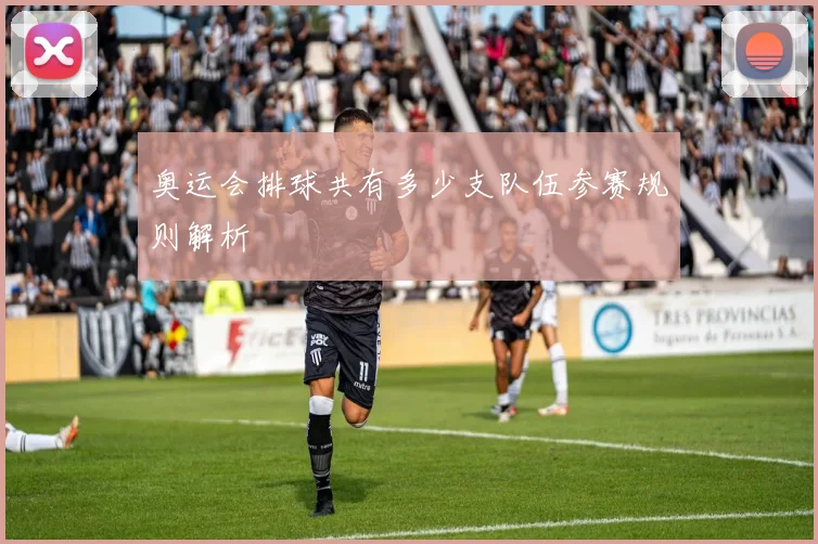 奥运会排球共有多少支队伍参赛规则解析